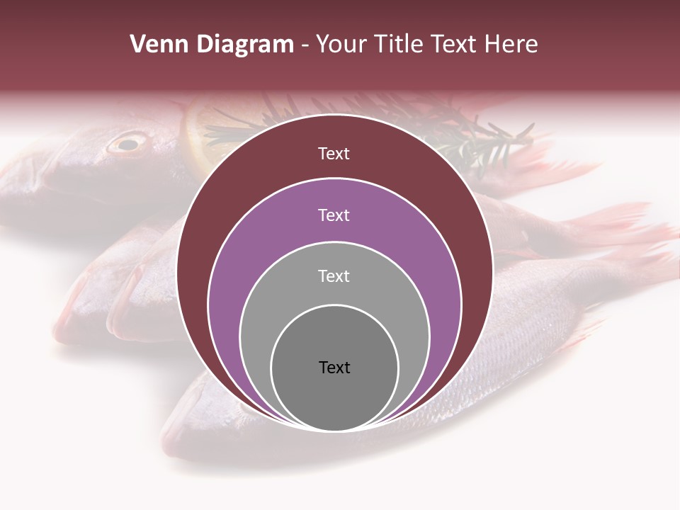 Healthy Single Bream PowerPoint Template