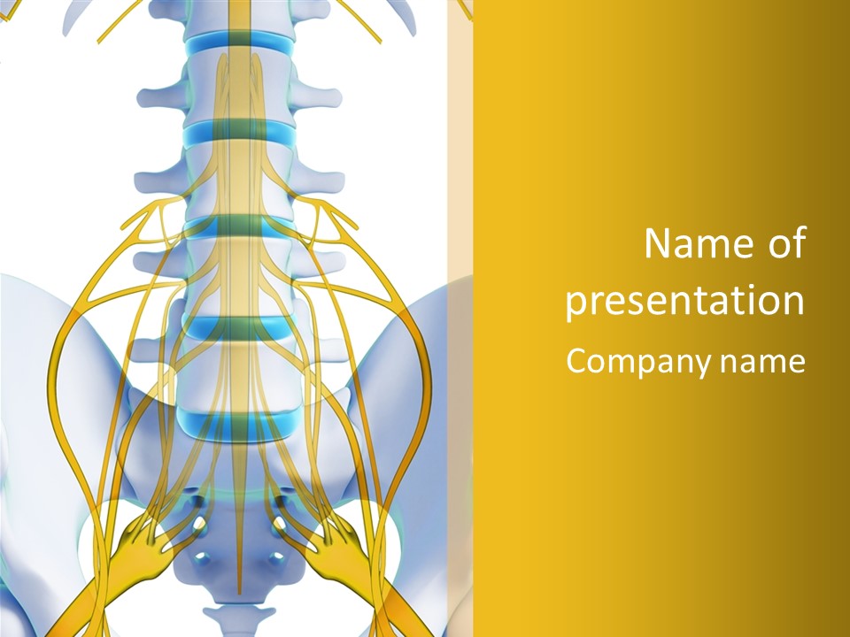 Prolapse Nerve Canal PowerPoint Template