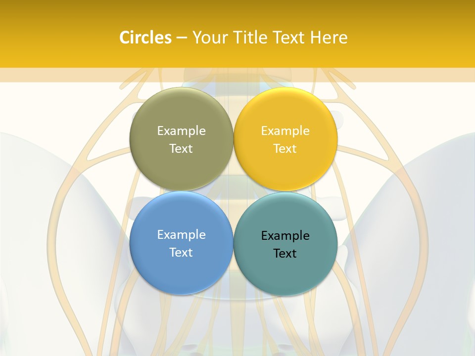 Prolapse Nerve Canal PowerPoint Template