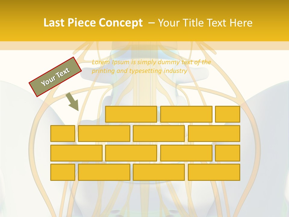 Prolapse Nerve Canal PowerPoint Template