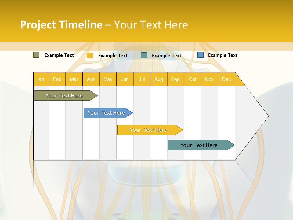 Prolapse Nerve Canal PowerPoint Template