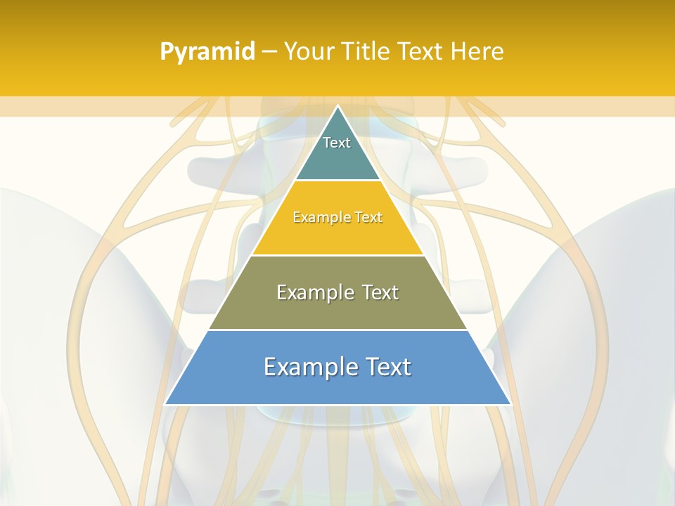 Prolapse Nerve Canal PowerPoint Template