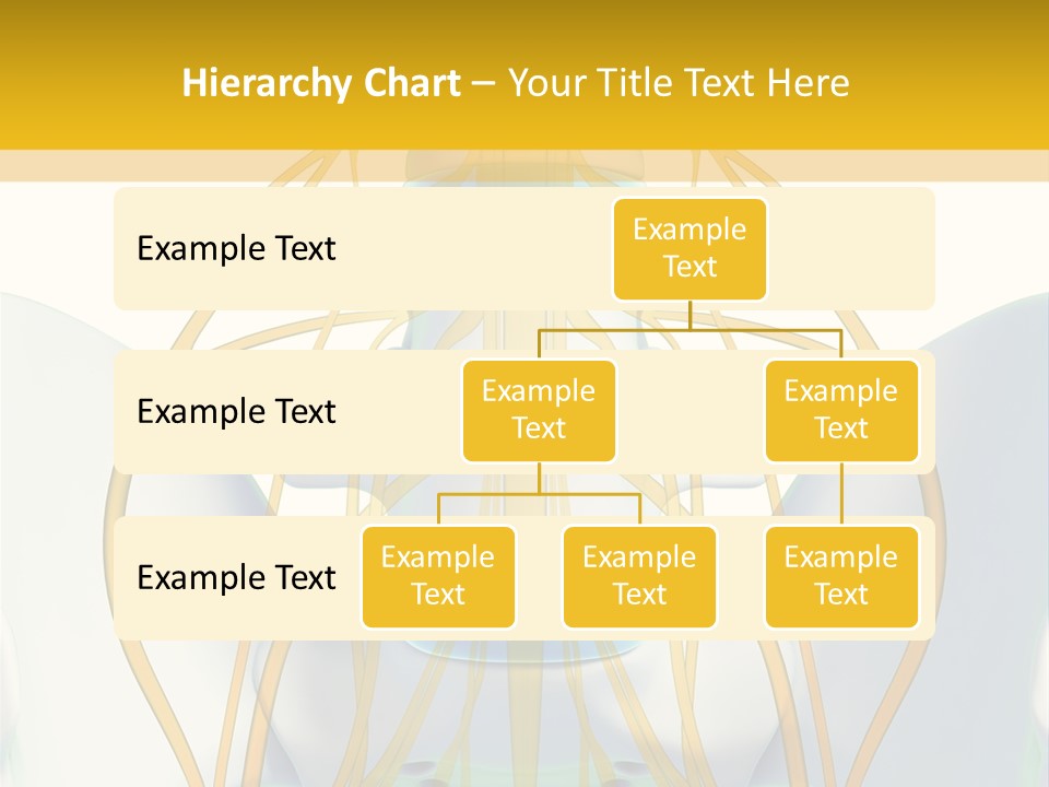 Prolapse Nerve Canal PowerPoint Template