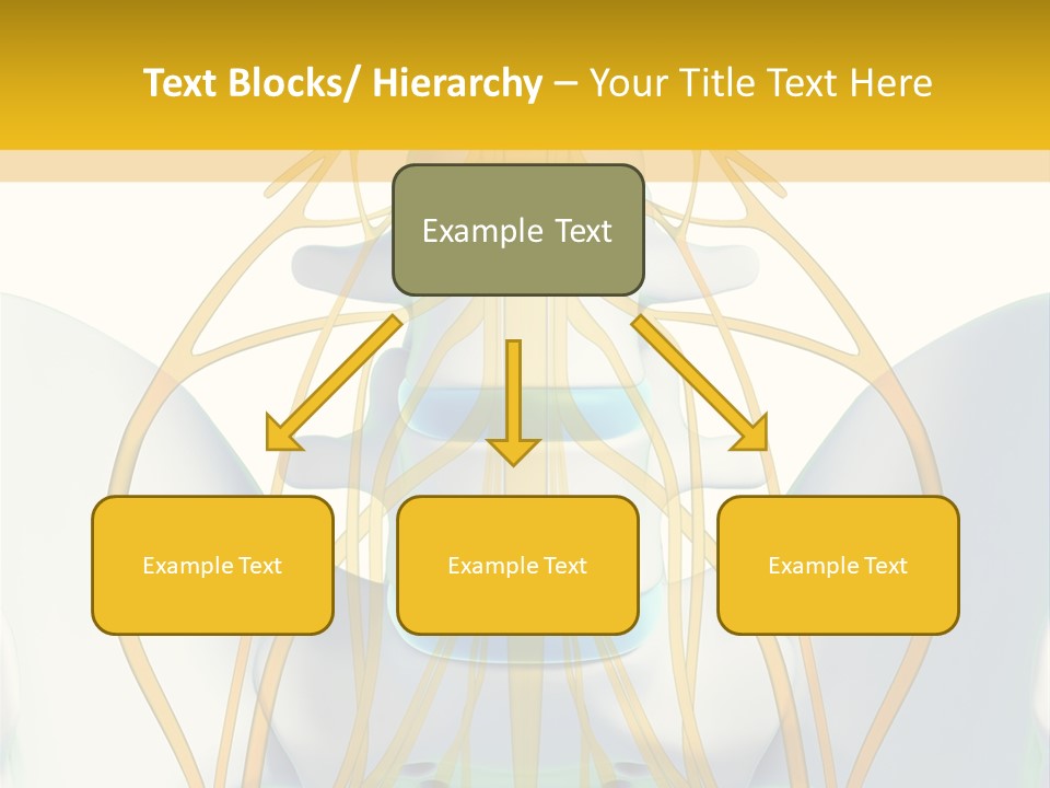 Prolapse Nerve Canal PowerPoint Template