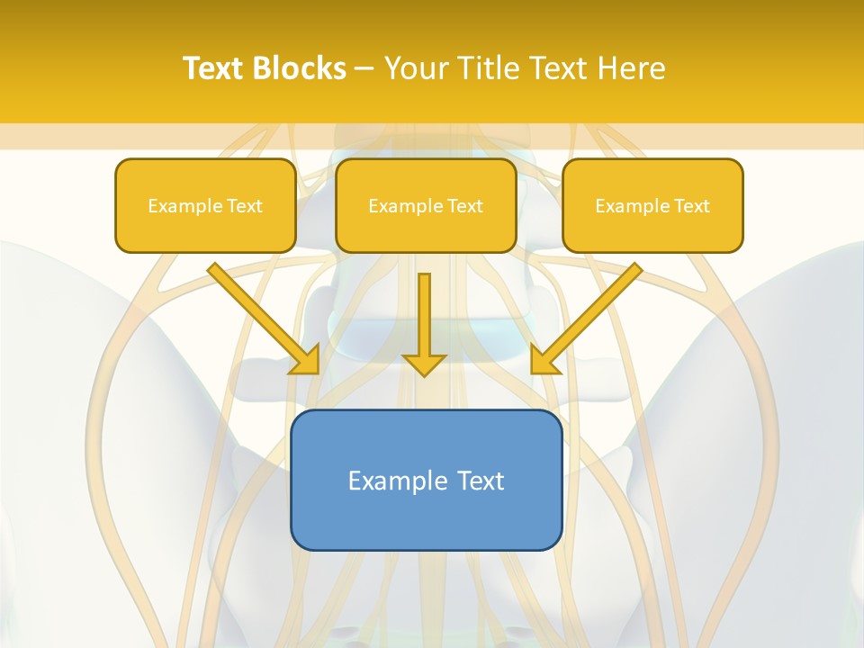 Prolapse Nerve Canal PowerPoint Template