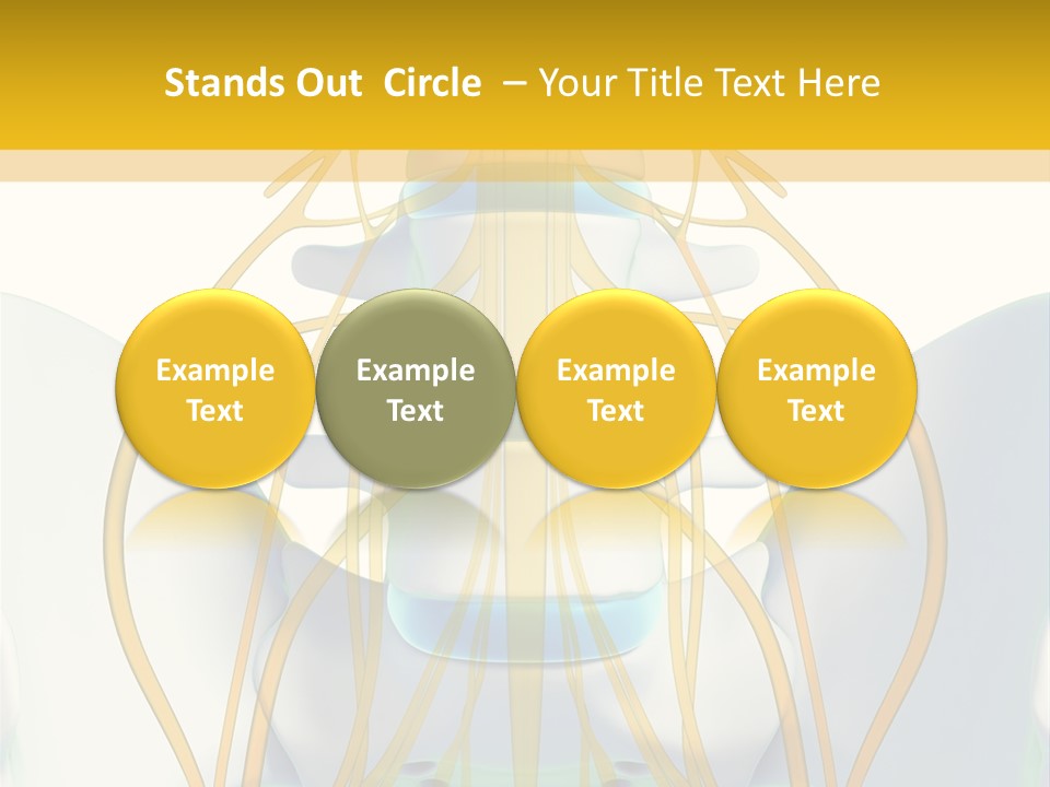Prolapse Nerve Canal PowerPoint Template