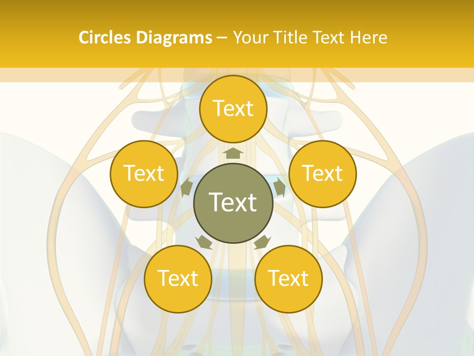 Prolapse Nerve Canal PowerPoint Template