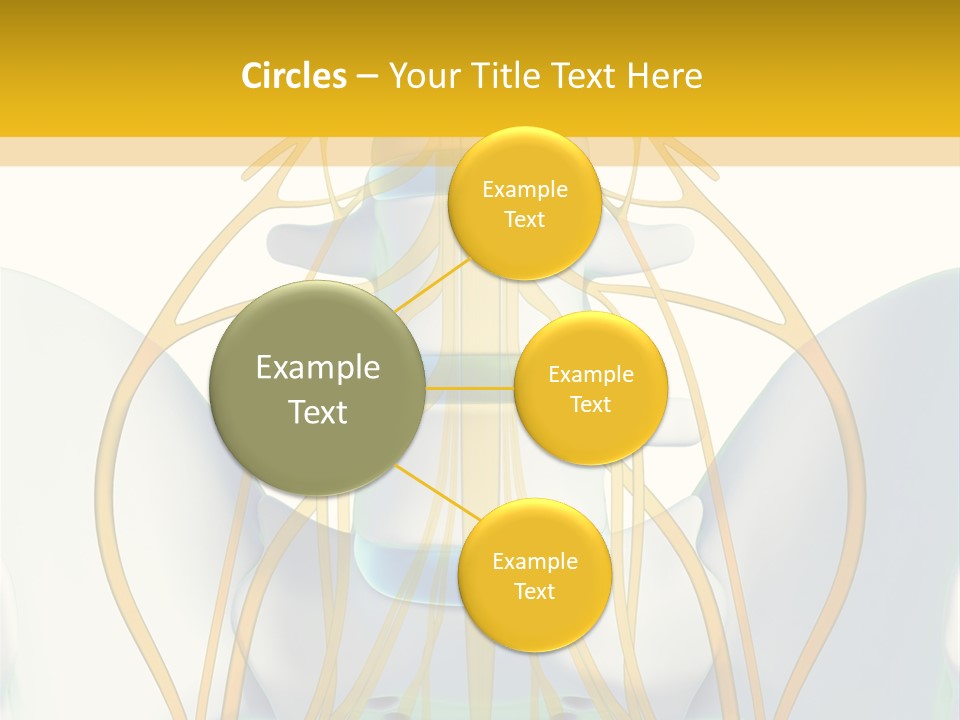 Prolapse Nerve Canal PowerPoint Template