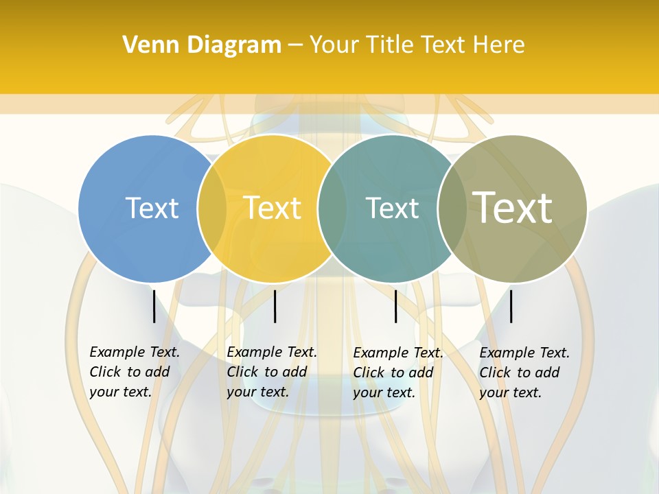 Prolapse Nerve Canal PowerPoint Template