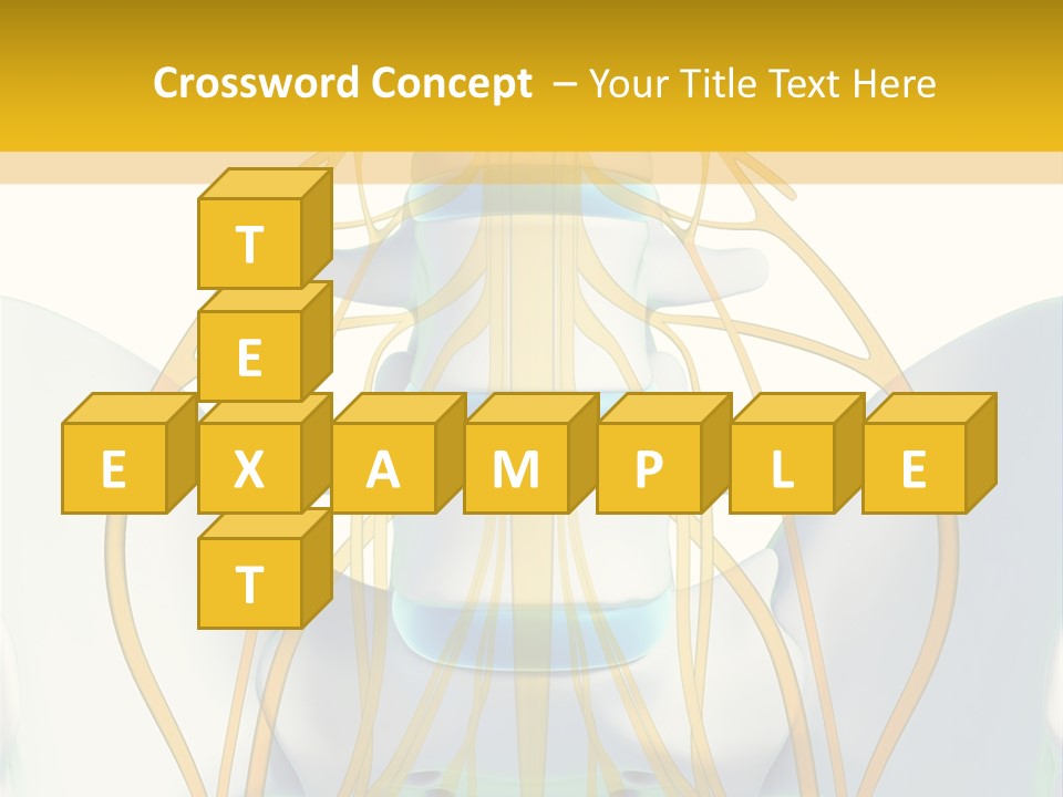 Prolapse Nerve Canal PowerPoint Template