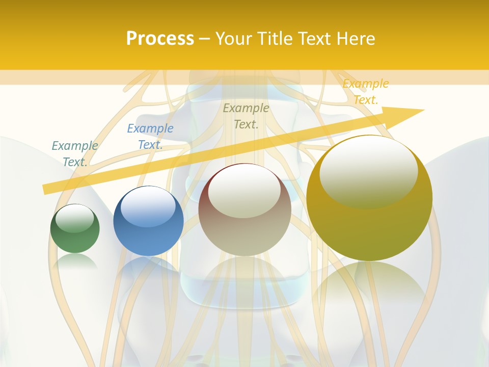 Prolapse Nerve Canal PowerPoint Template