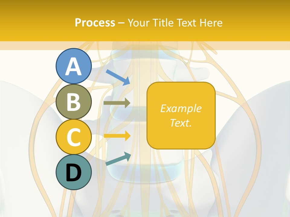 Prolapse Nerve Canal PowerPoint Template