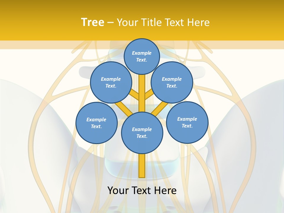 Prolapse Nerve Canal PowerPoint Template