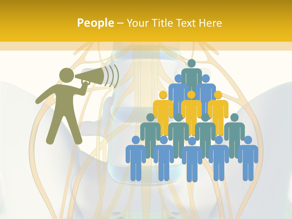Prolapse Nerve Canal PowerPoint Template