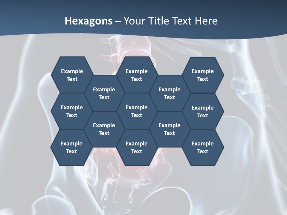 Prolapse Nerve Canal PowerPoint Template