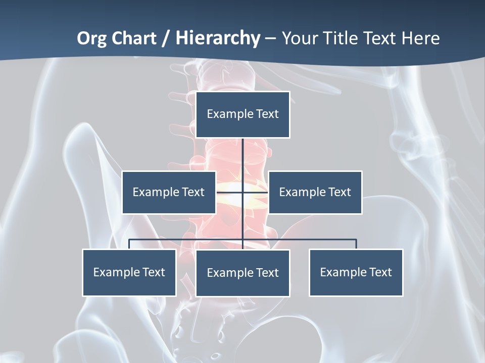 Prolapse Nerve Canal PowerPoint Template