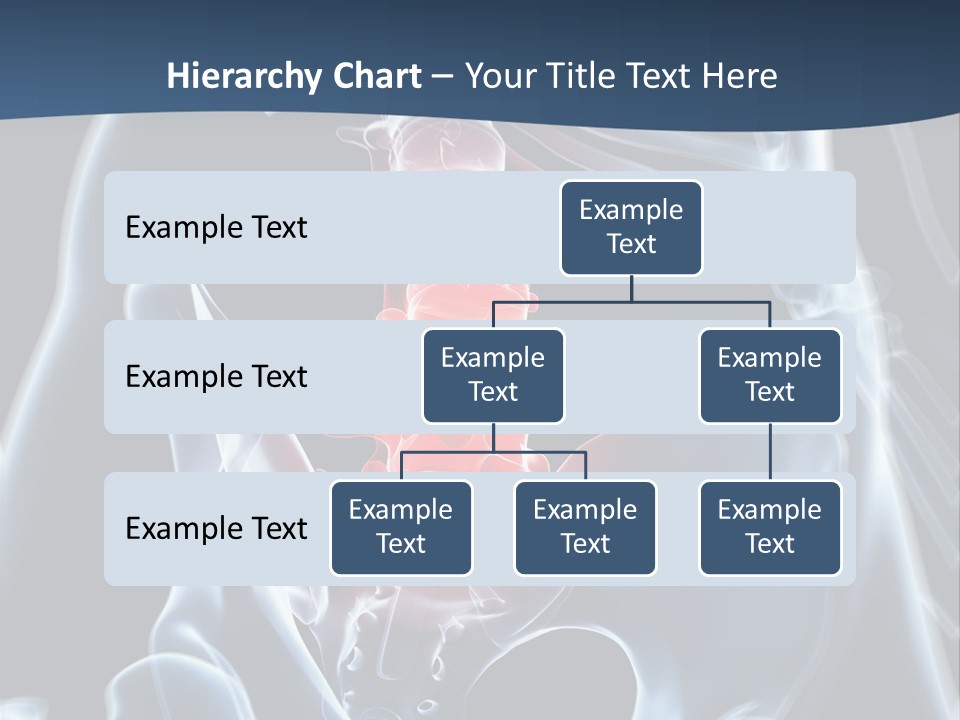 Prolapse Nerve Canal PowerPoint Template
