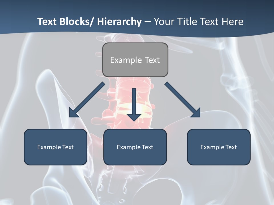 Prolapse Nerve Canal PowerPoint Template