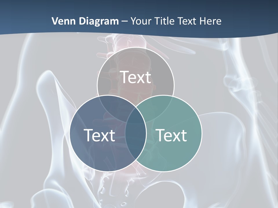 Prolapse Nerve Canal PowerPoint Template