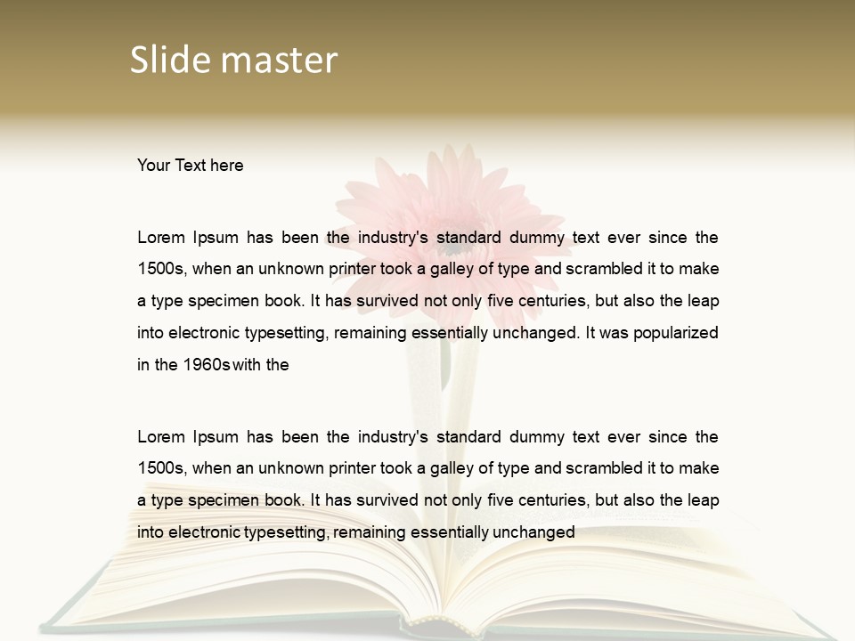 Isolated Textbook Background PowerPoint Template