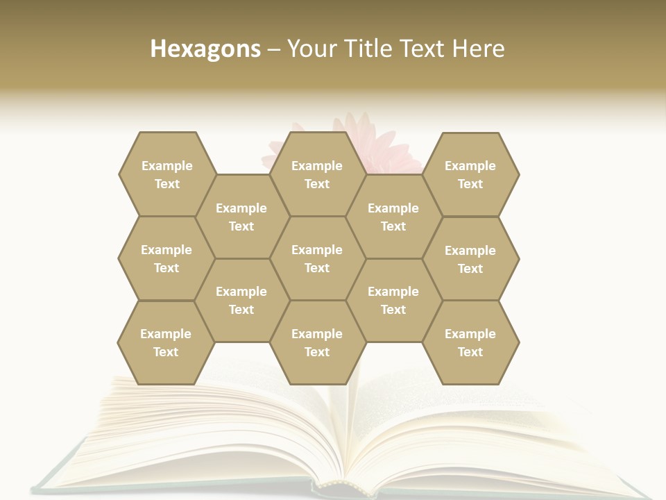 Isolated Textbook Background PowerPoint Template