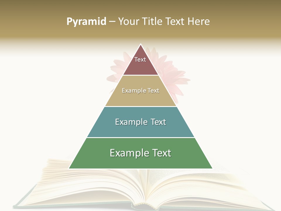 Isolated Textbook Background PowerPoint Template
