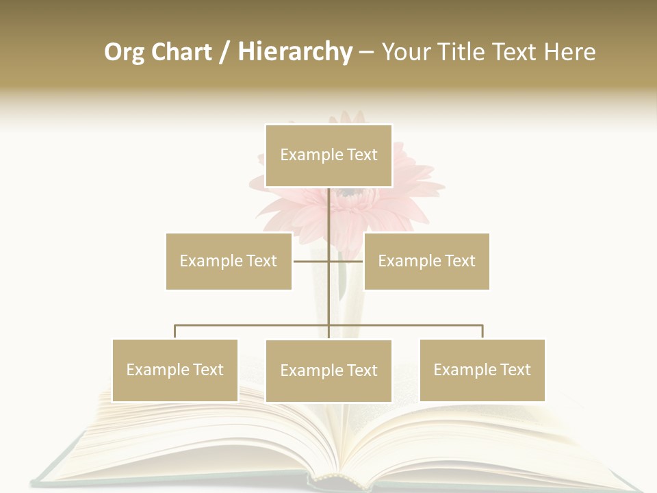 Isolated Textbook Background PowerPoint Template