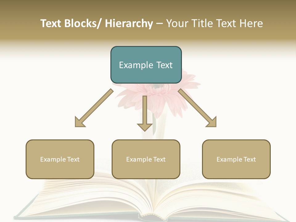 Isolated Textbook Background PowerPoint Template
