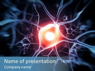 Axon Human Nucleus PowerPoint Template