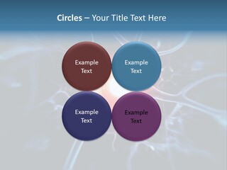 Axon Human Nucleus PowerPoint Template