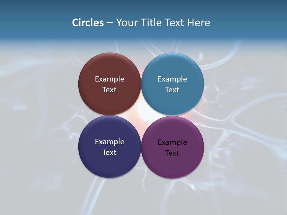 Axon Human Nucleus PowerPoint Template