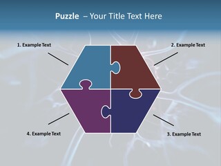 Axon Human Nucleus PowerPoint Template