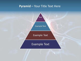 Axon Human Nucleus PowerPoint Template
