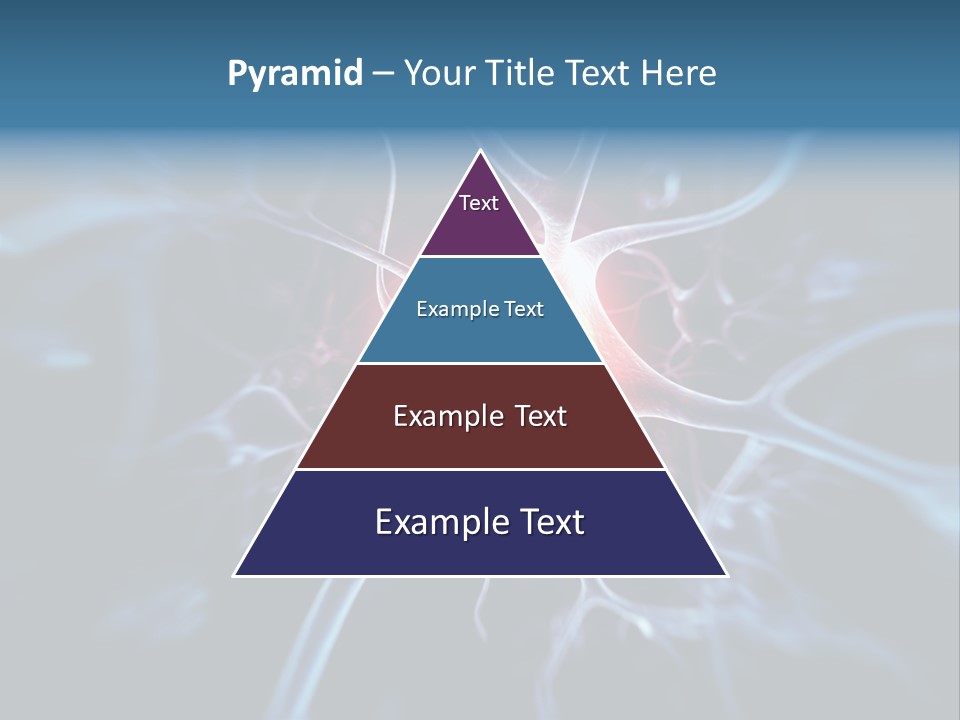 Axon Human Nucleus PowerPoint Template