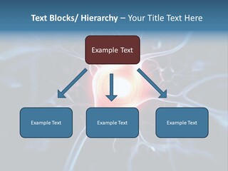 Axon Human Nucleus PowerPoint Template
