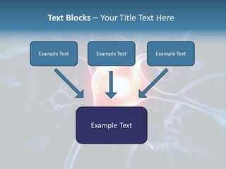 Axon Human Nucleus PowerPoint Template