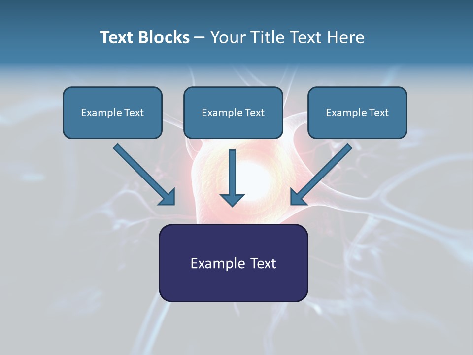 Axon Human Nucleus PowerPoint Template