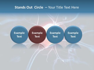 Axon Human Nucleus PowerPoint Template