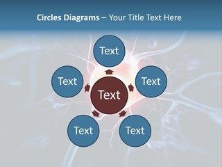 Axon Human Nucleus PowerPoint Template