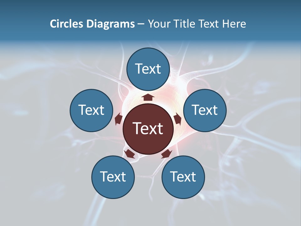 Axon Human Nucleus PowerPoint Template