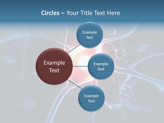 Axon Human Nucleus PowerPoint Template
