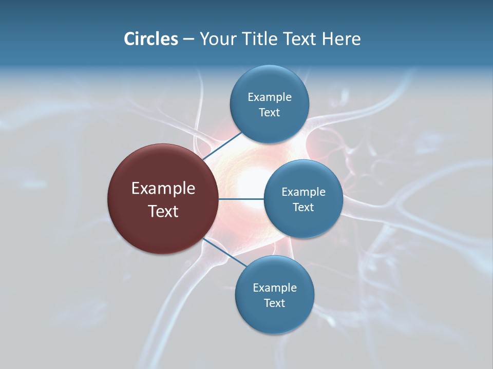 Axon Human Nucleus PowerPoint Template