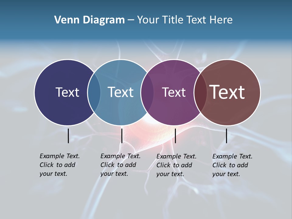 Axon Human Nucleus PowerPoint Template