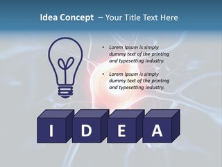 Axon Human Nucleus PowerPoint Template