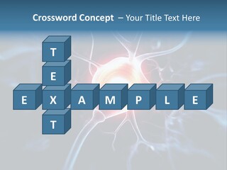 Axon Human Nucleus PowerPoint Template
