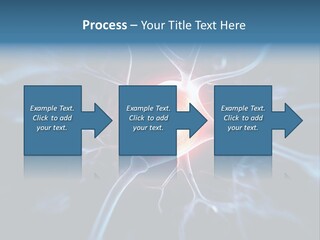 Axon Human Nucleus PowerPoint Template
