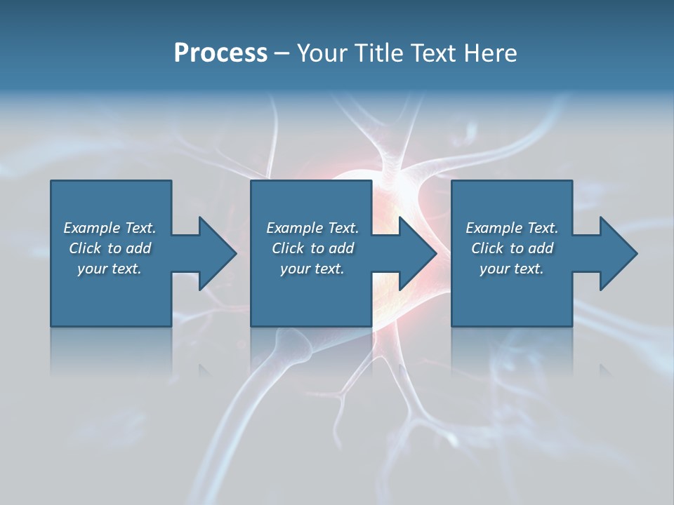 Axon Human Nucleus PowerPoint Template
