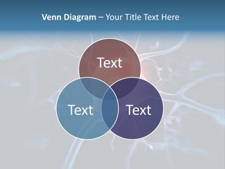 Axon Human Nucleus PowerPoint Template