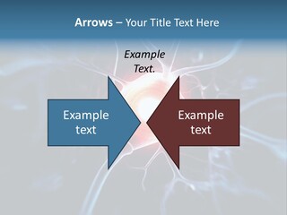 Axon Human Nucleus PowerPoint Template