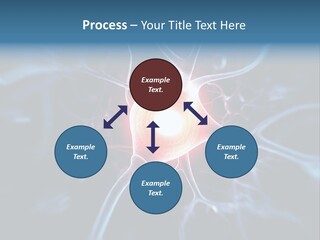 Axon Human Nucleus PowerPoint Template